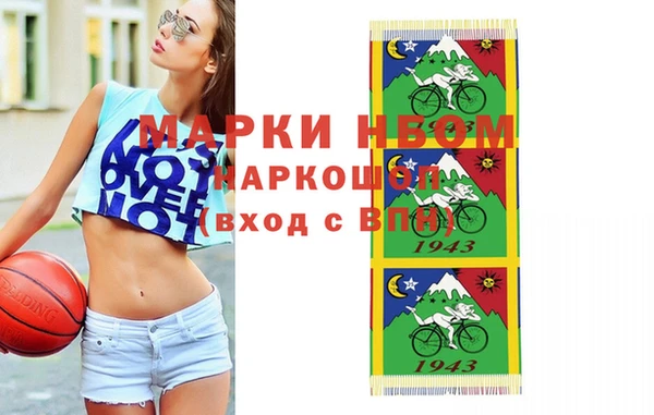 шишки Аркадак