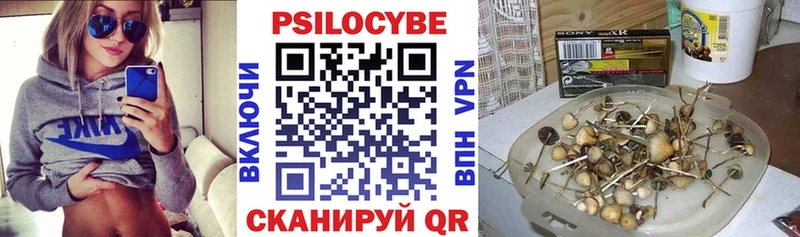 Галлюциногенные грибы Psilocybine cubensis  Мценск 